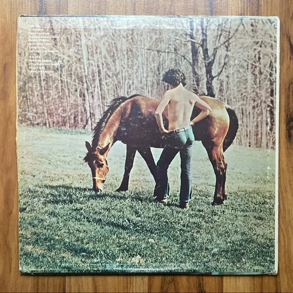 Arlo Guthrie Washington County Vintage Folk Rock Vinyl Record - Picture 2 of 11